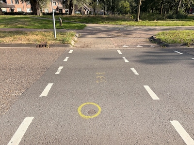 Image related to the article