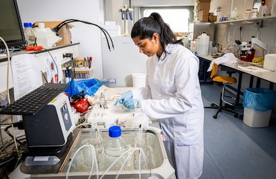 Erasmus MC warns against cannabis oil during pregnancy: may not be safe after all