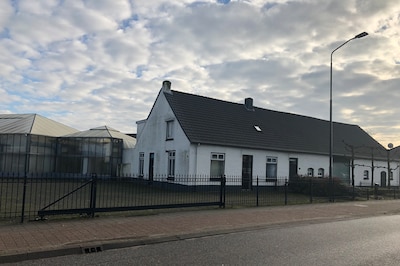 Image related to the article