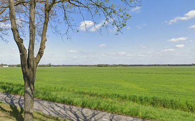 Image related to the article