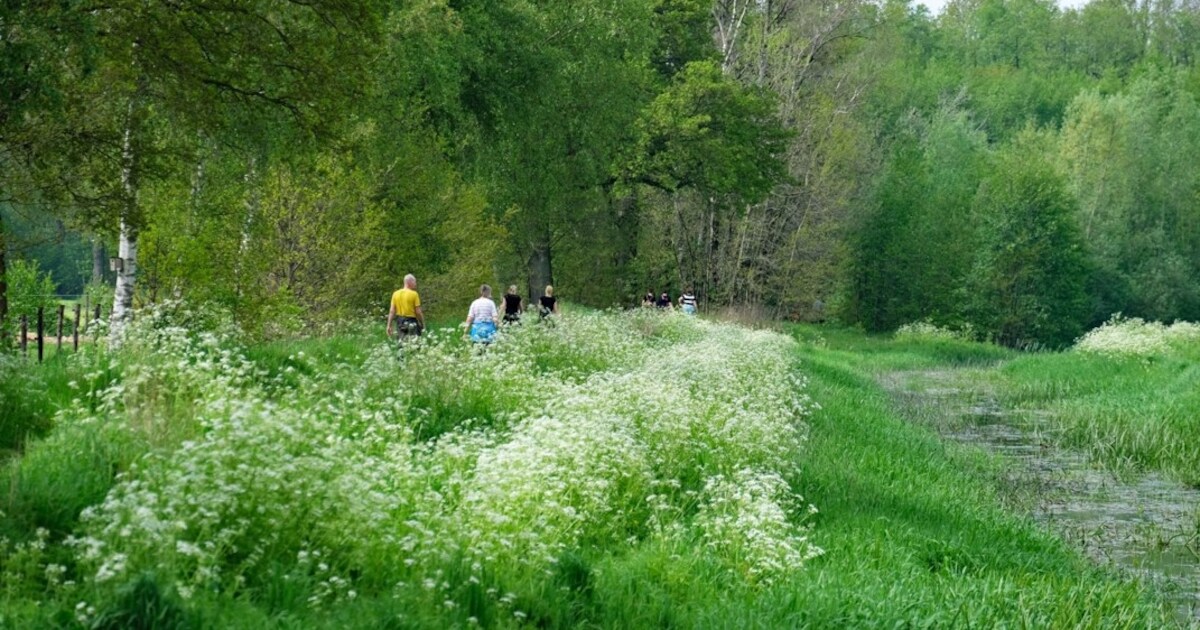 Deelnemers wandelen in Vilsteren langs Vecht en kasteel Rechteren