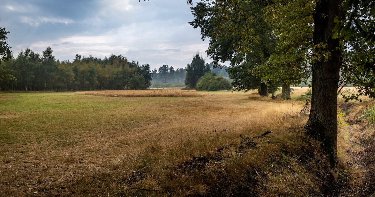 Grensparkwandeling in Luyksgestel | Bergeijk