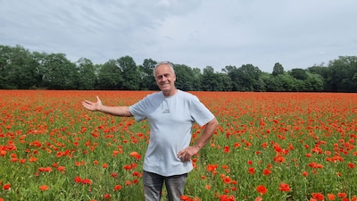 Boer Frank zaait gras, maar krijgt 85.000 vierkante meter klaprozen