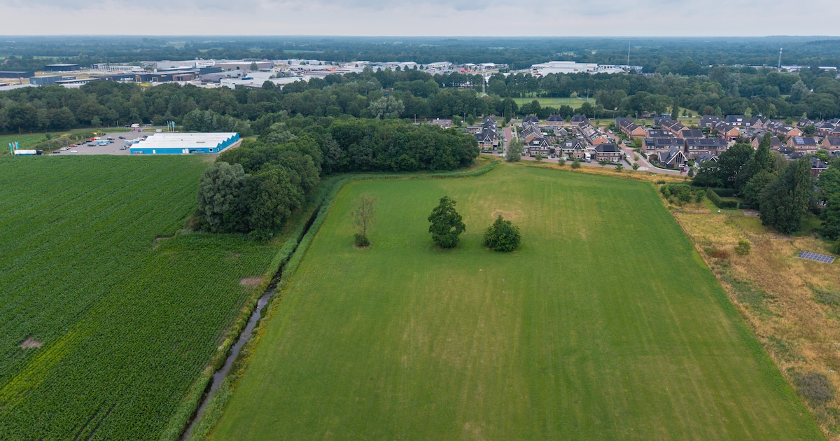 Holten krijgt er 350 woningen bij: Roosdom Tijhuis breidt woonwijk De Liesen uit