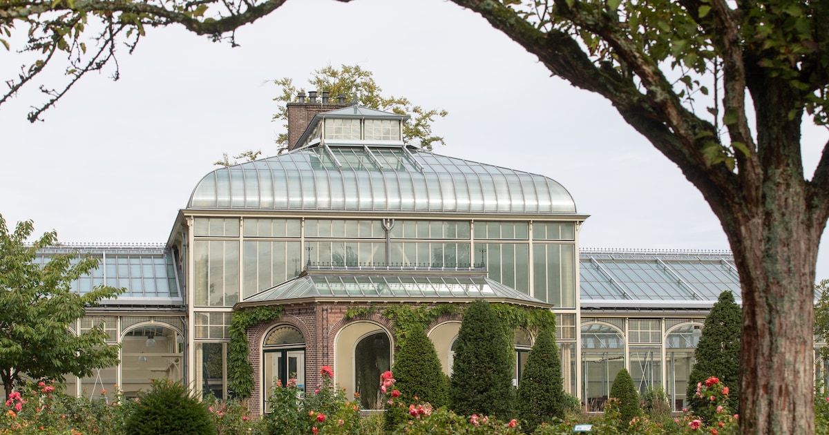 Van verkoop tot renovatie, ideeën voor de Wintertuin in Baarn: ‘Buurt moet minder macht krijgen’