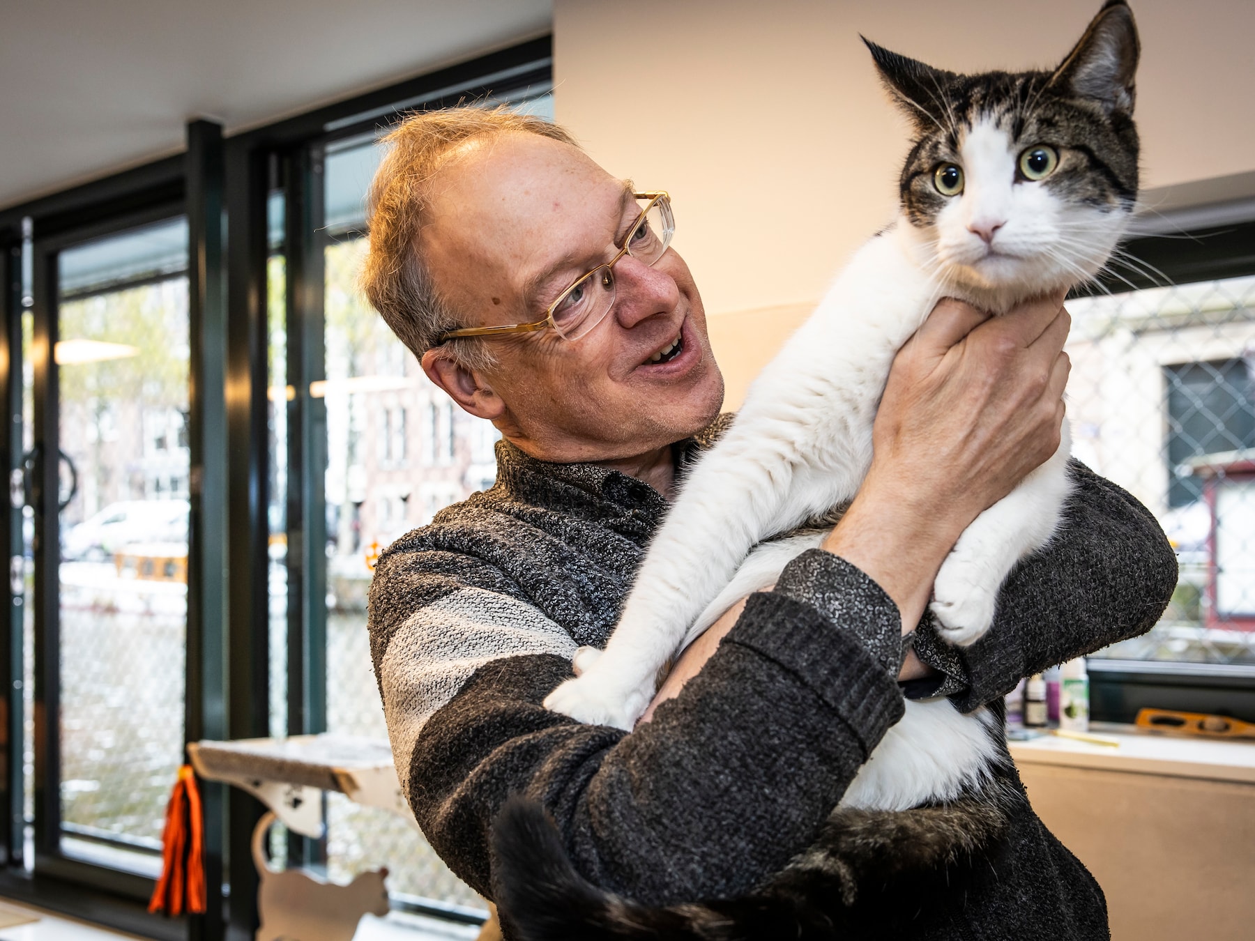 Kattenprofessor weet het na diepgravend onderzoek zeker: katten zijn socialer en slimmer dan we dachten