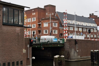 Image related to the article