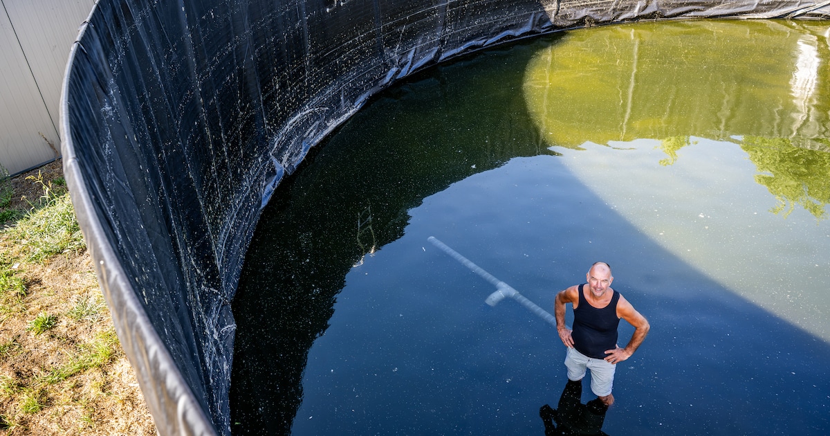 Delfland heft sproeiverbod op: tuinders en bewoners in Berkel mogen weer water uit de sloot halen