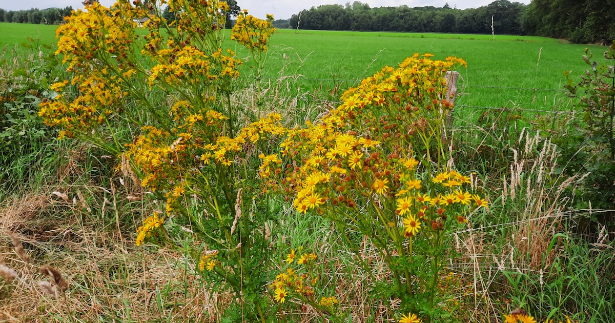 Land van Cuijk richt zich op landbouwinnovatie