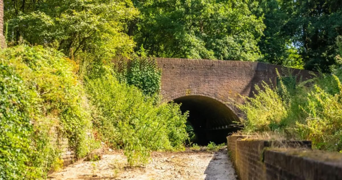 Gemeente Roermond benadrukt: grondwater in Limburg staat historisch laag