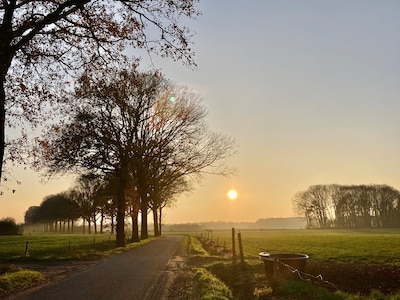 Image related to the article