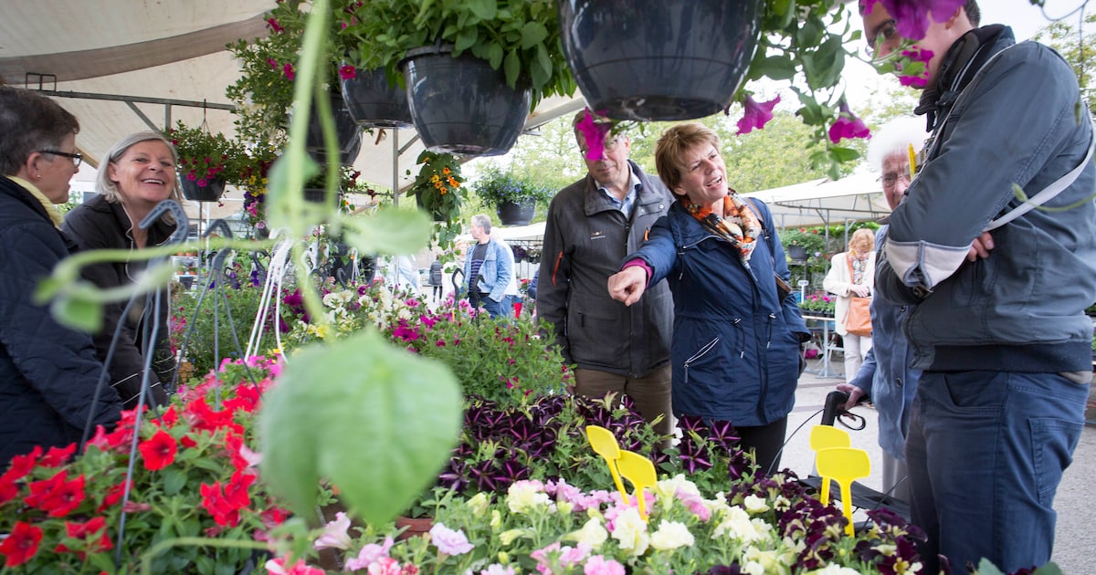 Kraampjes en foodtrucks tijdens bloemenmarkt in Krimpen
