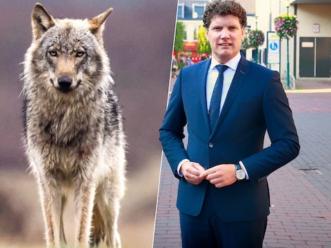 Burgemeester Jacco van der Tak: „We zien dat het dier steeds minder schuw wordt.’’
