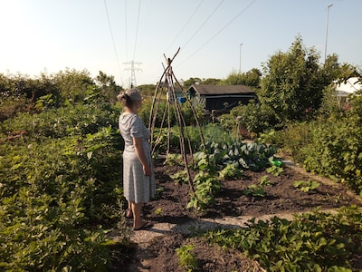 Tuin bij De Vrije Tuinder is voor Elsa een spirituele ervaring die haar dichter bij God brengt