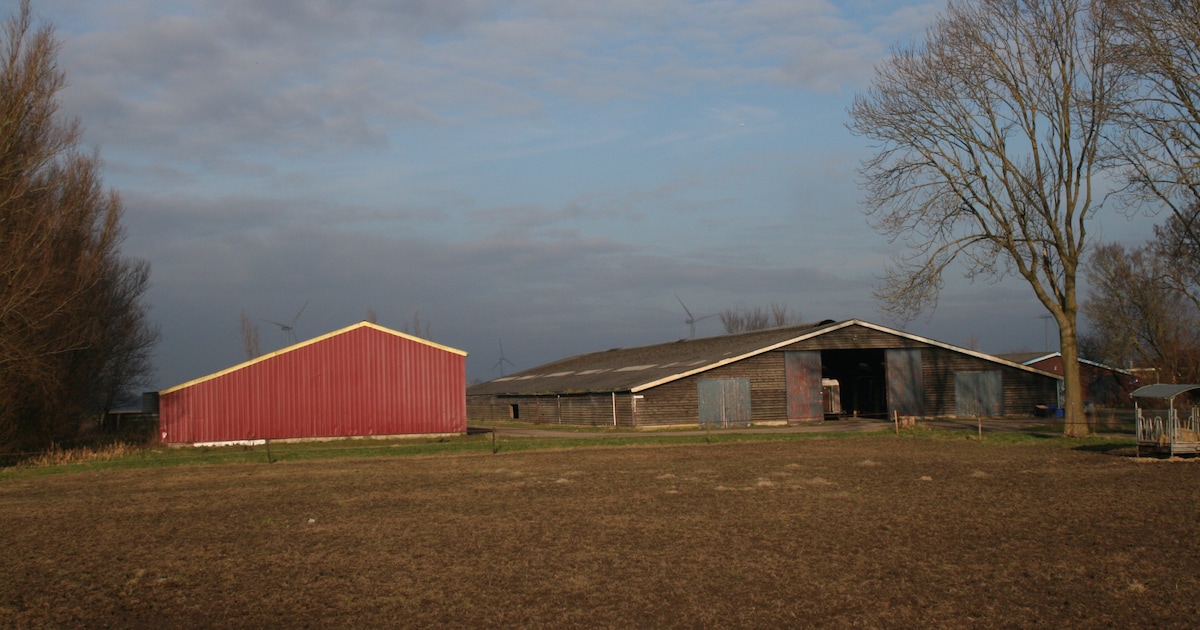 Nieuw complex voor arbeidsmigranten in Zeewolde, capaciteit na protesten afgeschaald