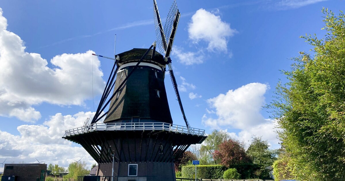 Nationale Molendagen in Delfland: vier watermolens geopend voor publiek