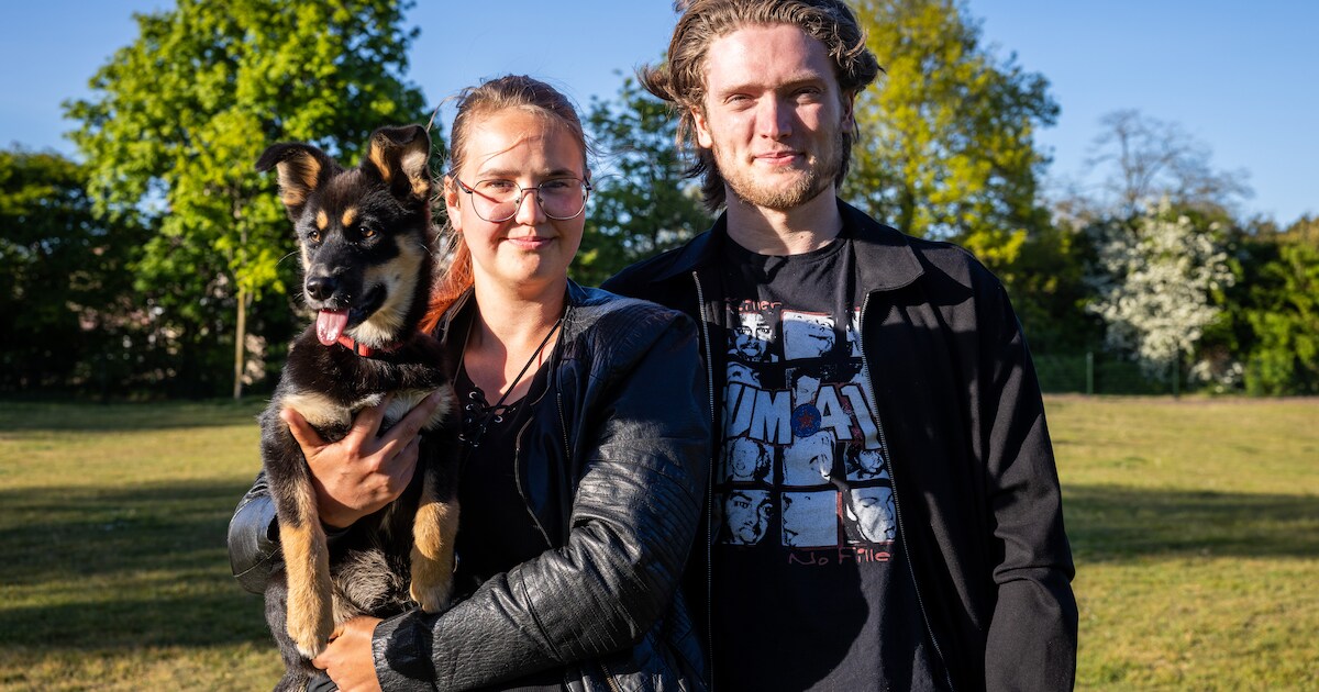 Nieuw hondenparadijs in Ommen houdt buurt bezig: ‘We willen een bak met speelgoed neerzetten’