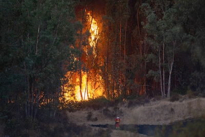 LIVE Extreem weer | Grote natuurbrand legt 20.000 hectare in de as in Andalusië, bluswerk duurt nog dagen
