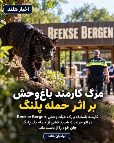Media van Iran tot Australië berichten over dodelijke panteraanval in Beekse Bergen