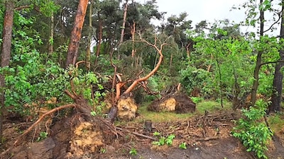 Image related to the article