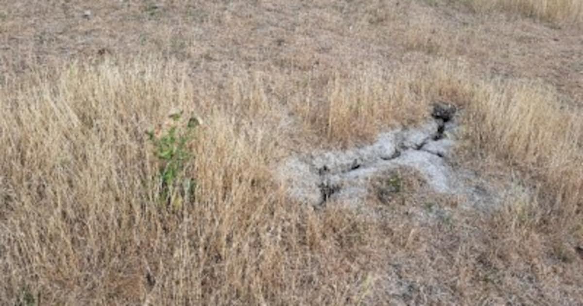 Delfland start reparaties van scheuren in dijken nu grootste gevaar geweken lijkt