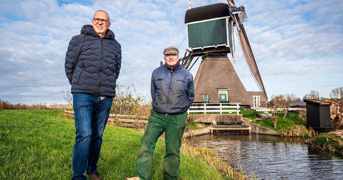 Herstel fundering Weijpoortse molen door geldgebrek uitgesteld