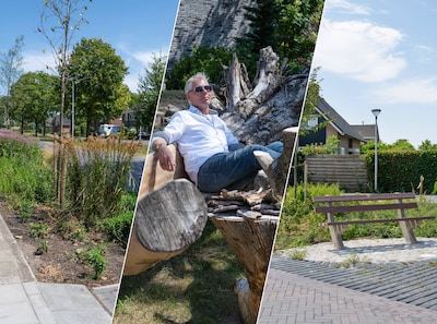 Geen asfaltjungle meer in Beltrum: wijk regelt zelf groene facelift van 3,6 miljoen euro