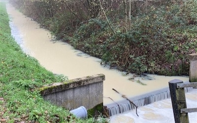 Opeens kleurt deze beek in Twente wit: enorme melklozing leidt tot kilometers lange vervuiling