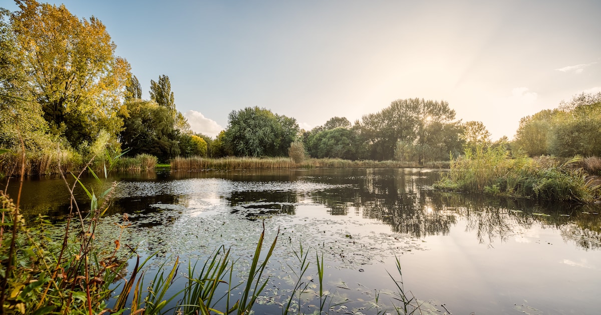 Waterschap Hollandse Delta investeert 130 miljoen in 2026