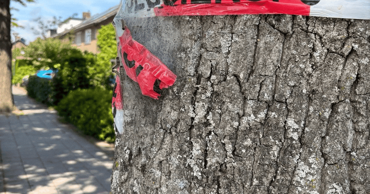 Jeuk, huiduitslag en irritatie aan ogen: gemeente Eemnes waarschuwt voor processierups