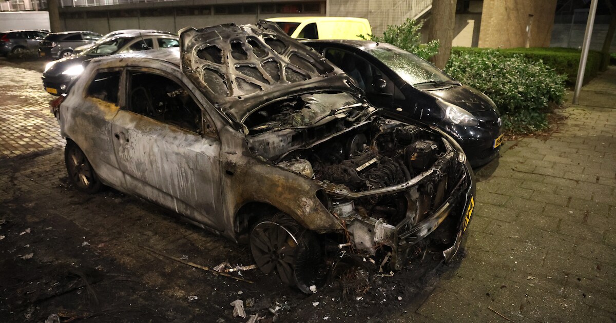 Auto verwoest door nachtelijke brand in Naaldwijk