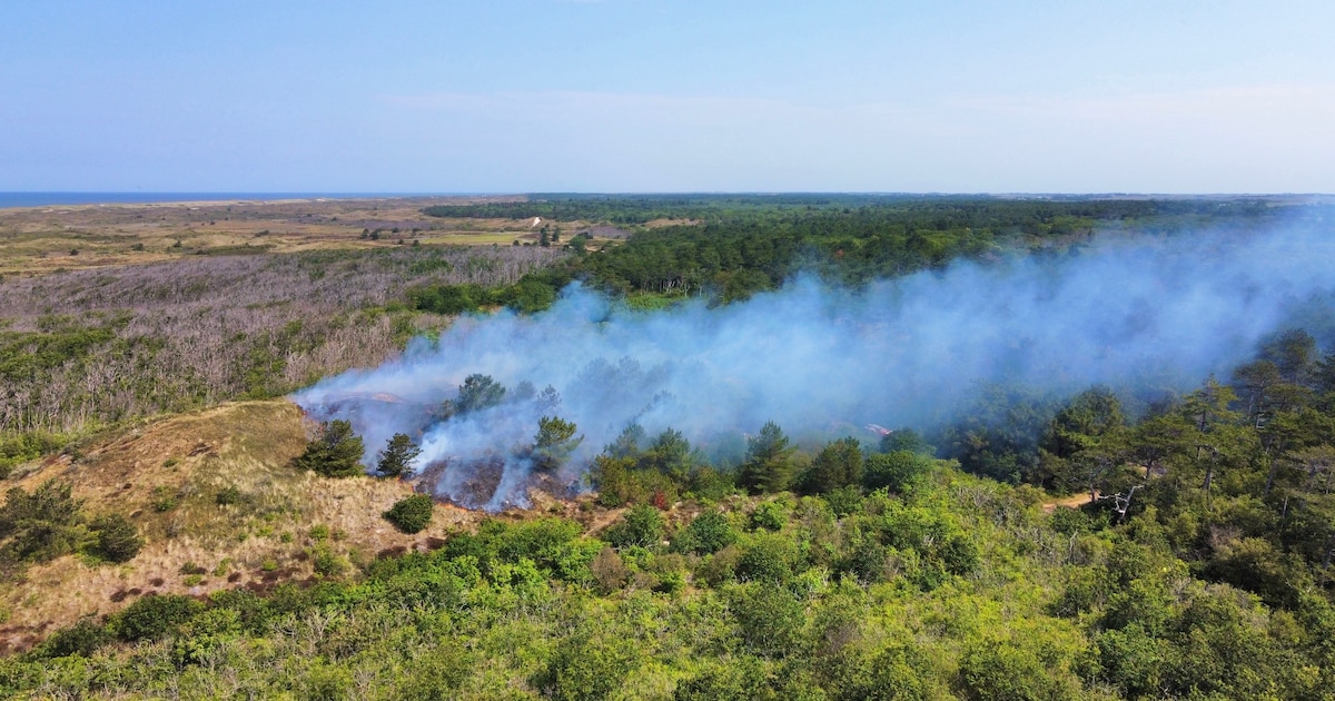 Grote natuurbrand in duingebied op Texel, veel brandweereenheden ingezet