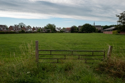 Image related to the article