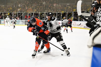 Nijmegen Devils heeft nog maar één zege nodig: mogelijk dinsdag al titelfeest in eigen hal
