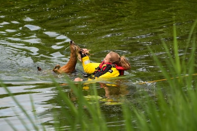 Image related to the article