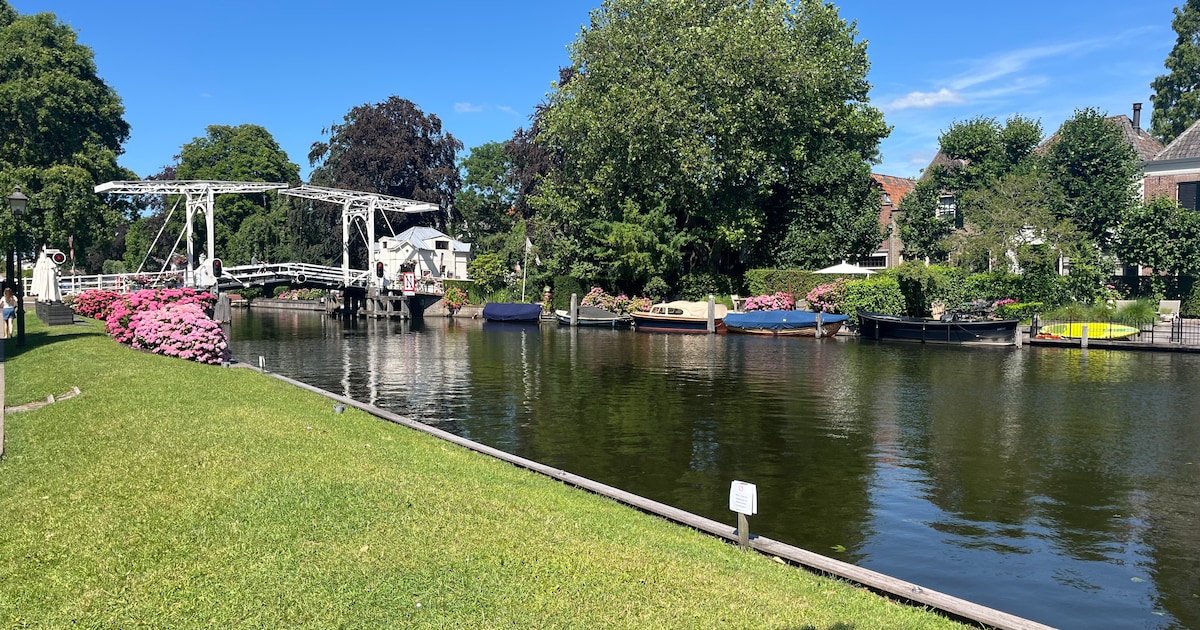Zwemmen tussen de drollen? Na de stortbuien van afgelopen weekend blijft de Vecht plots nagenoeg lee
