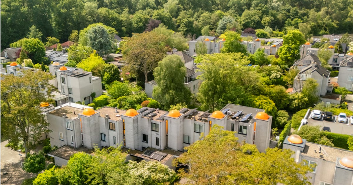 Bij Renée en Alfred in huis schijnt elke dag de zon, maar zonder kinderen is het niet hetzelfde