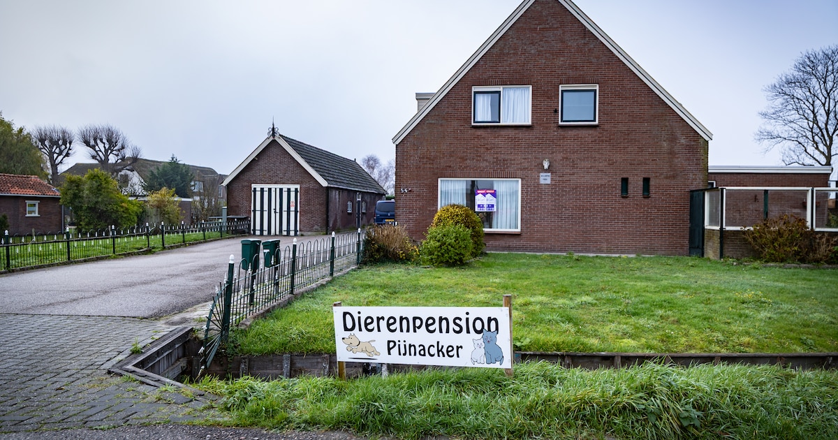 De vlag kan uit bij dierenpension Pijnacker: geen planologische bezwaren tegen verhuizing