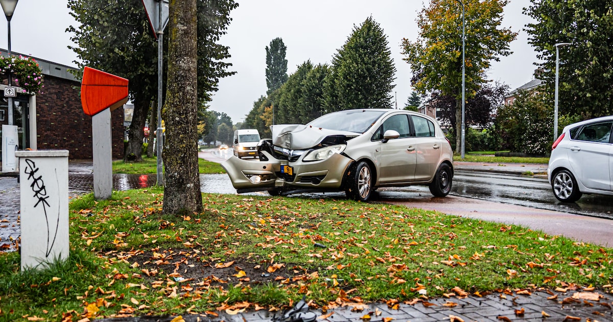 Minderjarig meisje rijdt zonder rijbewijs auto tegen boom in Assen