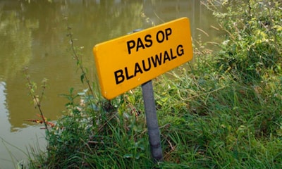 Waarschuwing voor blauwalg bij De Zandmeren Noord en West in Kerkdriel