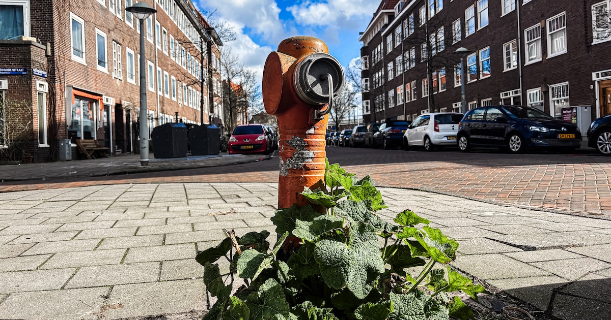Brandweer Texel controleert zaterdag brandkranen