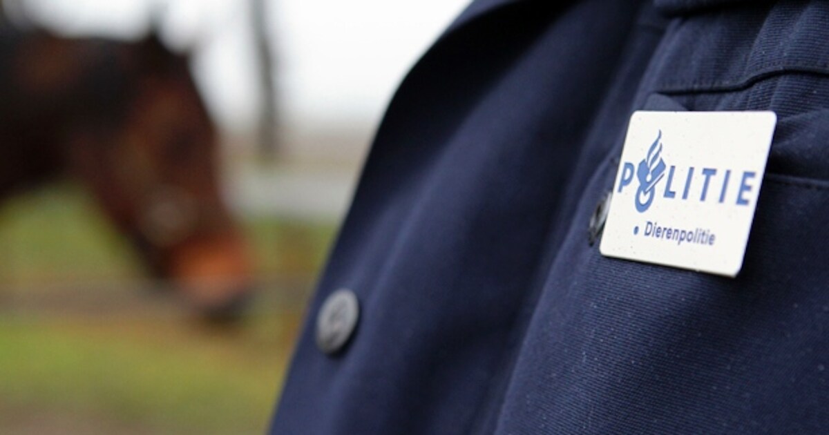 Twee bijtende honden in Roosendaal in beslag genomen