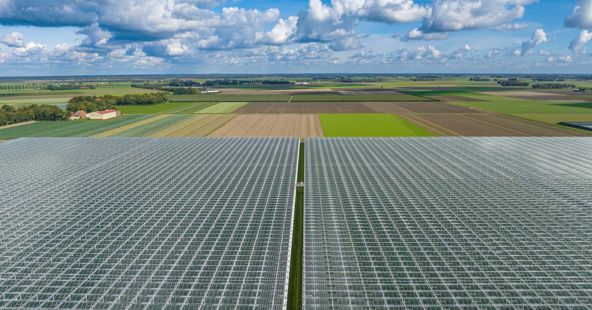 Energiecoach Dirk helpt je gratis met vragen over subsidie en energie in Midsland