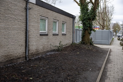 Image related to the article