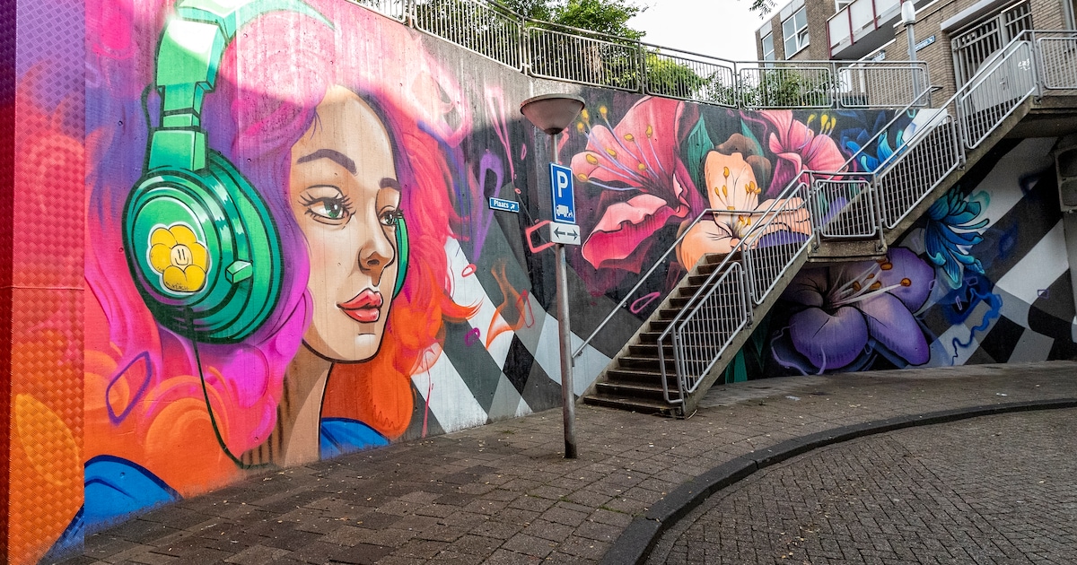 Petitie voor legale graffiti-muur in Alkmaar
