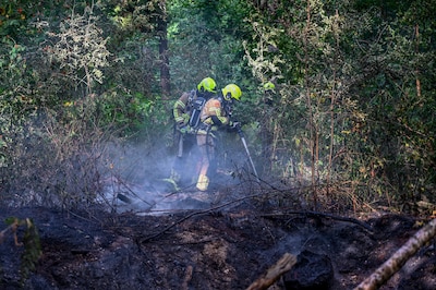 Bosbrand aan Kadinskypad in Malden