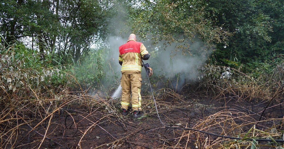 Brand in bos bij Frettenpad in Bergschenhoek