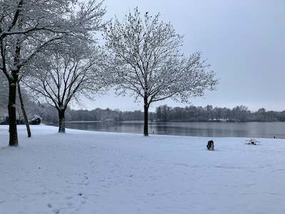 Wijthmenerplasloop afgelast: ‘Jammer, het ligt erbij als in een sprookje’