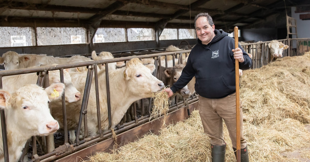 Boerbijeenkomsten afgeblazen en niet meer wandelen met alpaca’s: MKZ ...