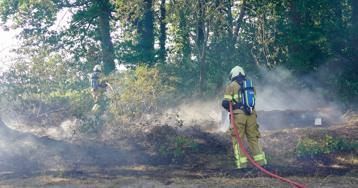 Brand in berm aan de Bonhagen in Norg